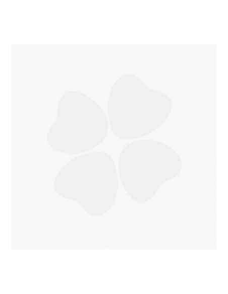 Beter Cortacutículas Inoxidable 10,4 cm