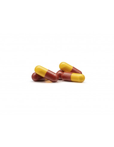 Inmunoferon 500 mg 90 cápsulas
