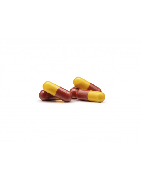 Inmunoferon 500 mg 90 cápsulas