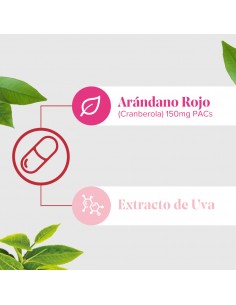 Arkocápsulas Cranberola Cis-Control 60 cápsulas 2