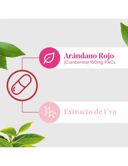 Arkocápsulas Cranberola Cis-Control 60 cápsulas