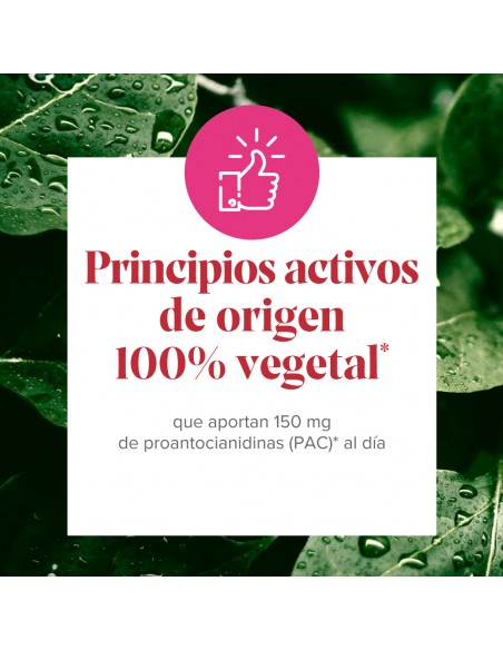 Arkocápsulas Cranberola Cis-Control 60 cápsulas