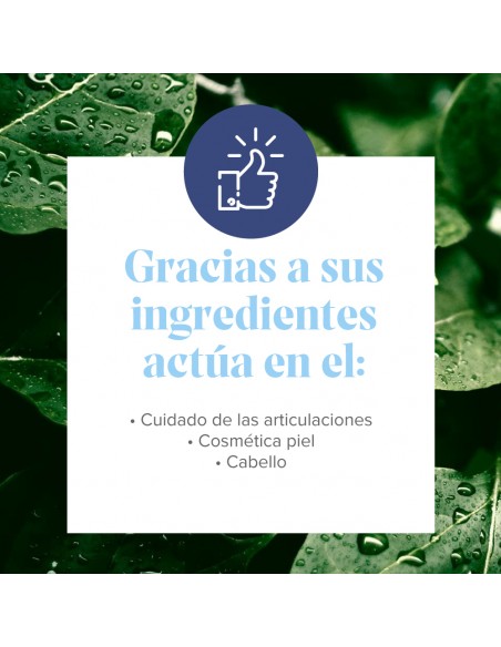 Arkoflex Colágeno Sabor Limón 360 g