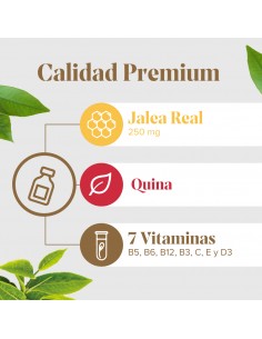 Arko Real Jarabe Apetit 2