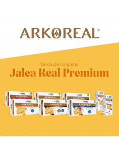Arko Real Jarabe Apetit 2